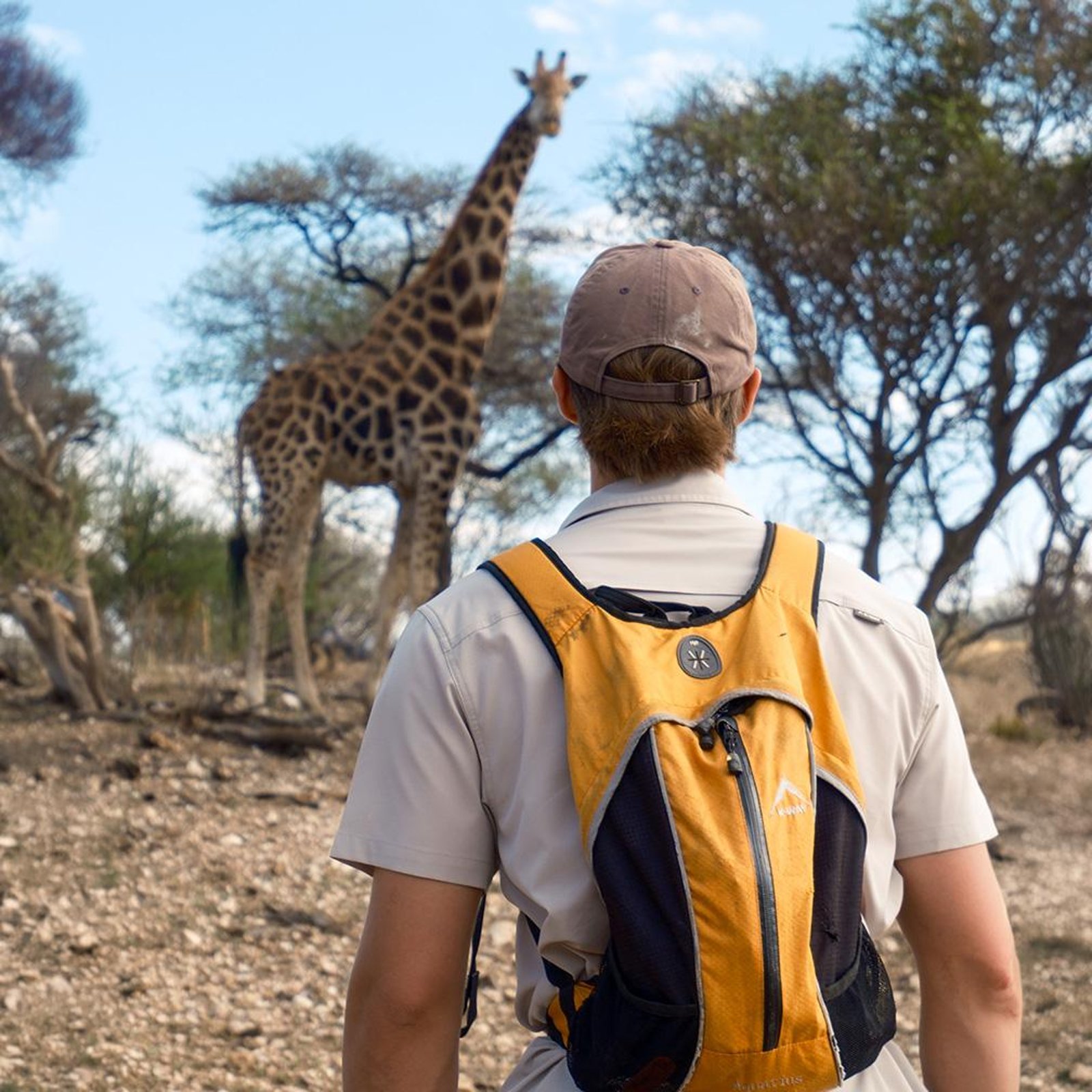 A walker observing a giraffe in the bush on the walking safari