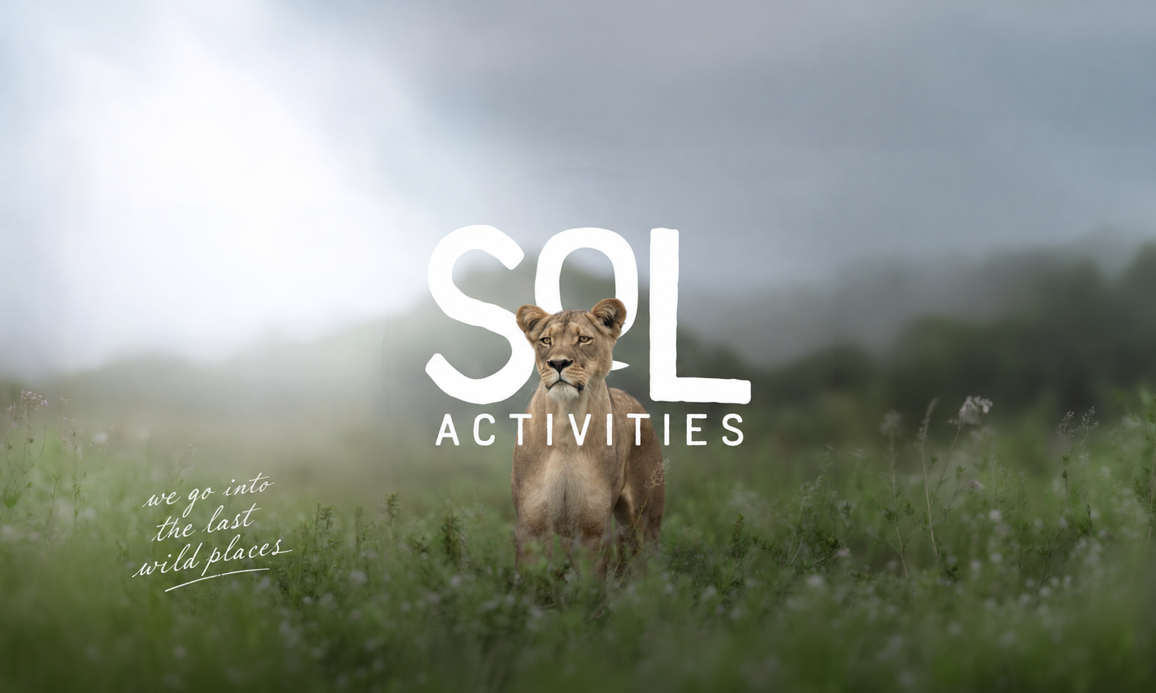 The original SOL lion artwork with ACTIVITIES beneath the SOL logo